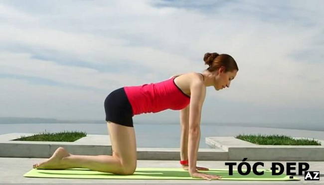 blog, lợi ích khi tập yoga – một số bài tập yoga giảm cân