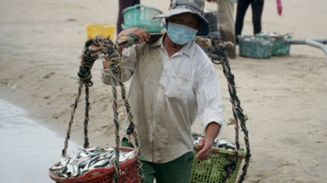 Carrying hired fish on Long Hai sea