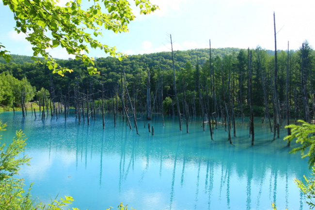 Top 4 địa Danh độc đáo đẹp Mê Hồn Không Thể Bỏ Lỡ Khi Ghé Thăm Nhật Bản