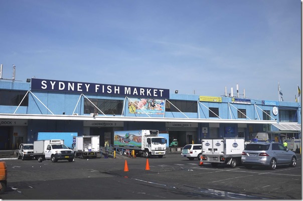 Những Lí Do Nên Ghé Thăm Chợ Cá đặc Trưng Của Sydney