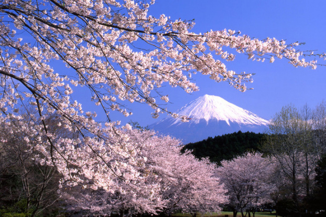 6 Sắc thái cực phẩm của Núi Phú Sĩ mà khổng phải ai cũng được chiêm ngưỡng