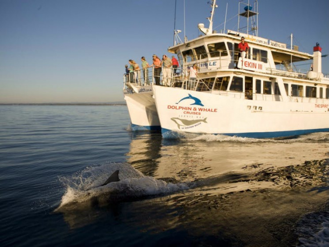 vịnh jervis (úc) – điểm đến an toàn và đẹp nhất thế giới