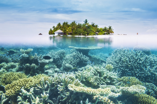 đảo ngọc maldives – “thiên đường nơi hạ giới”