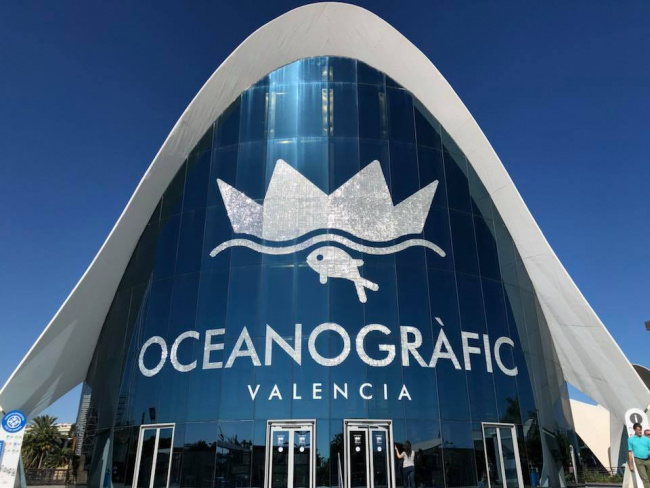 Siêu ấn Tượng Valencia Oceanografic
