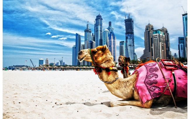 Những điều Bạn Nên Biết Khi đi Du Lịch Dubai