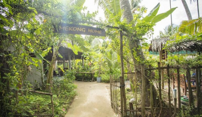 homestay, mekong home, tourist attractions in ben tre, western tourist destination, discover new virtual coordinates at mekong home ben tre