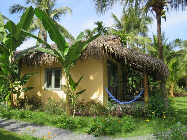 homestay, mekong home, tourist attractions in ben tre, western tourist destination, discover new virtual coordinates at mekong home ben tre