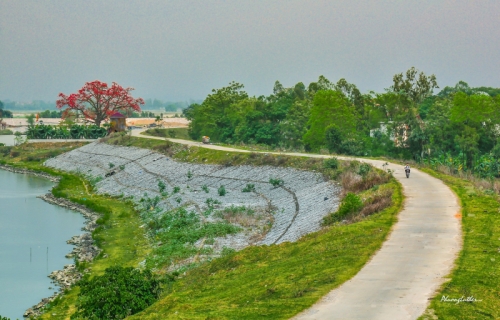 20 bài thơ hay về các loài hoa tháng tư