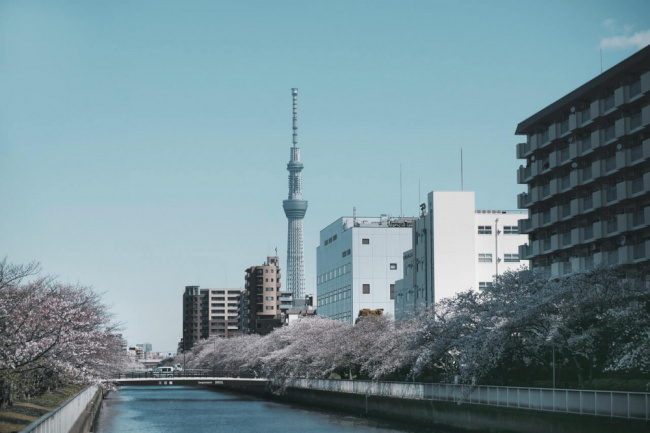 10 Điều người nước ngoài ghét ở Nhật Bản (P1)