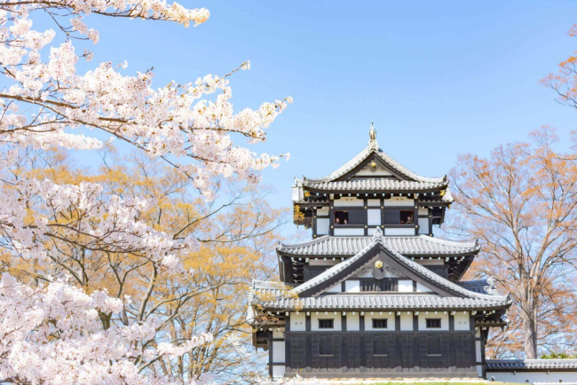 20 điểm ngắm hoa anh đào nổi tiếng trên khắp Nhật Bản bạn không thể bỏ qua (P1)