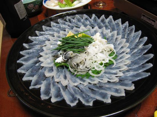 hải sản, nhật bản, tìm hiểu về fugu – cá nóc nhật bản