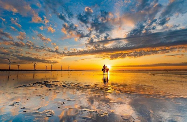 thông tin và kinh nghiệm du lịch gaomei wetlands đài trung tự túc, thuận lợi