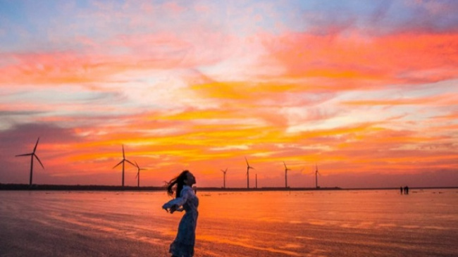 thông tin và kinh nghiệm du lịch gaomei wetlands đài trung tự túc, thuận lợi