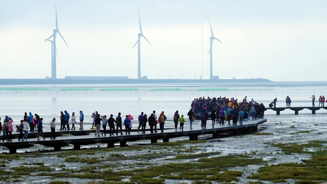 thông tin và kinh nghiệm du lịch gaomei wetlands đài trung tự túc, thuận lợi