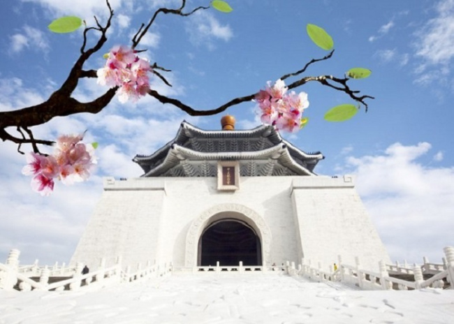 Địa điểm ngắm hoa anh đào Đài Loan không thể bỏ lỡ