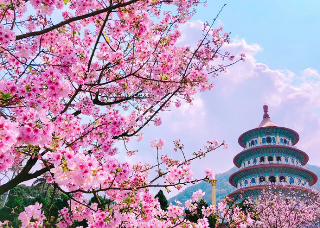 Lễ hội hoa Đài Loan vào các mùa, ngàn hoa khoe hương sắc