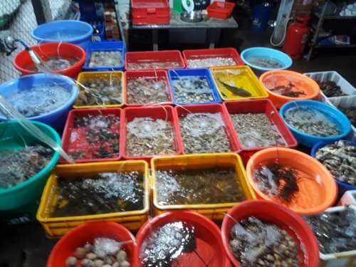 9 Địa chỉ ăn hải sản ngon nhất tỉnh Phú Yên