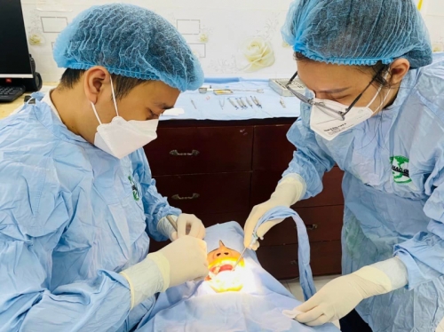 5 nha khoa trồng răng implant tốt uy tín tại tp. biên hòa, đồng nai