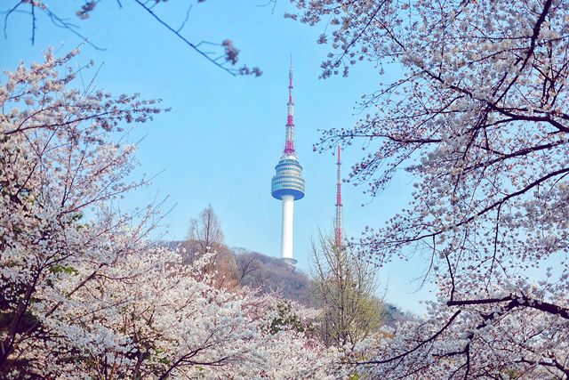 Bộ ảnh top 17 cảnh đẹp Namsan Tower “đốn tim” mọi ánh nhìn