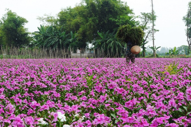 59 điểm tham quan du lịch an giang không thể bỏ lỡ