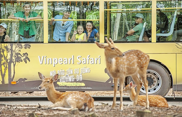 vinpearl safari phú quốc có gì? khám phá full update 2020