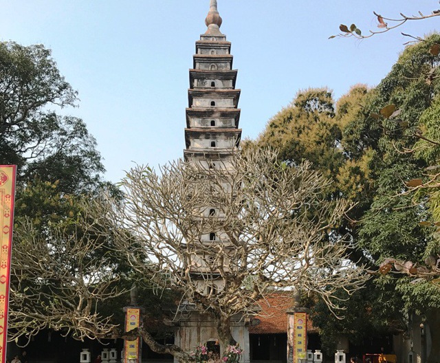 Ghé thăm chùa Phổ Minh nổi tiếng linh thiêng ở đất Nam Định