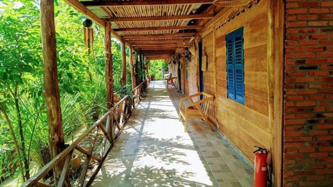 cocoland homestay, homestay, tourist attractions in ben tre, set up a team to check in cocoland homestay ben tre – a brand new resort in the land of green coconuts