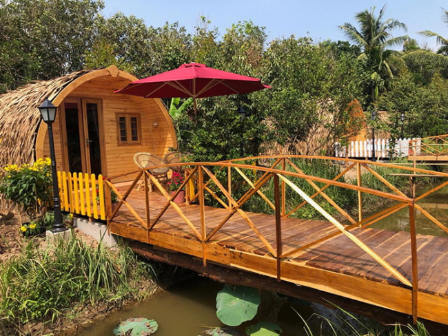 cocoland homestay, homestay, tourist attractions in ben tre, set up a team to check in cocoland homestay ben tre – a brand new resort in the land of green coconuts