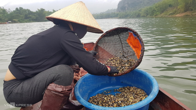hydroelectric lake bed, make a living on the river, raking mussels on the ma river, sautéed mussels, thanh hoa, rake mussels in the reservoir of hydroelectricity