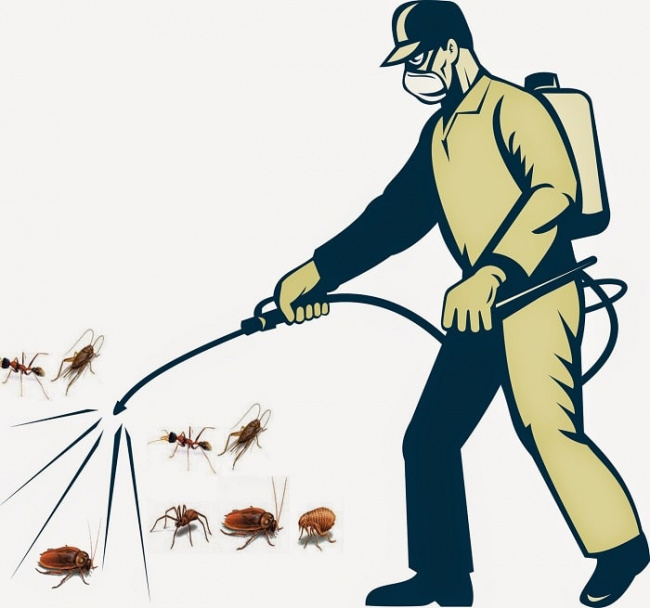 top 9+ công ty thuốc diệt côn trùng uy tín nhất hiện nay