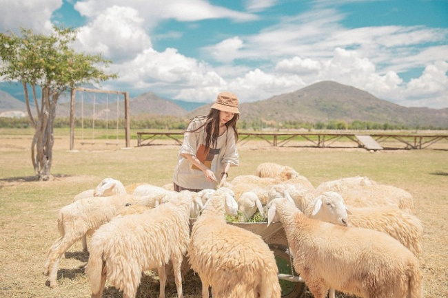 binh ba, cam ranh tourism, khanh hoa tourism, listing, suoi tien sheep field, 7 places to eat in cam ranh