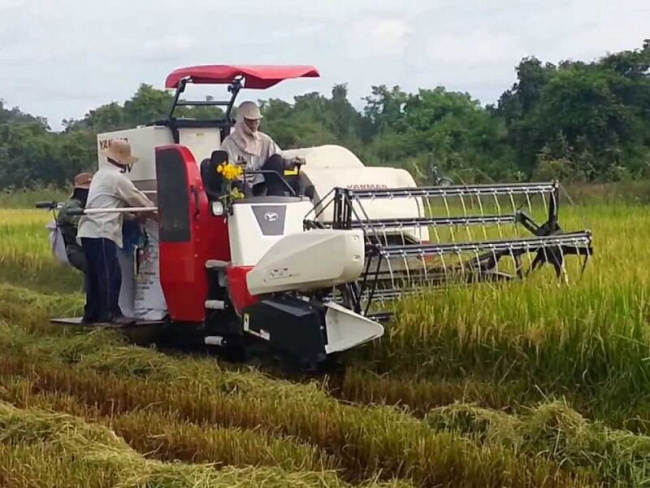 review top 5 máy cắt lúa không thể thiếu cho nhà nông