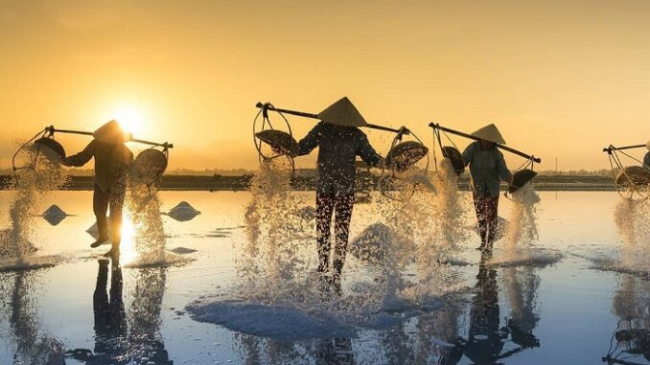 Check in the famous salt fields in Vietnam, admire the rare and hard-to-find beautiful scenery