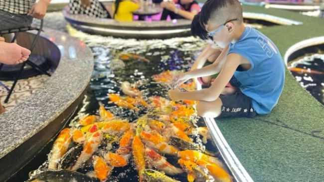 Koi fish cafes in Saigon have a beautiful space with schools of expensive Koi fish  