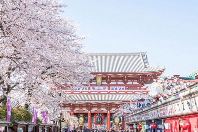 Top 5 tour du lịch Tokyo Nhật Bản trọn gói, giá rẻ 2020