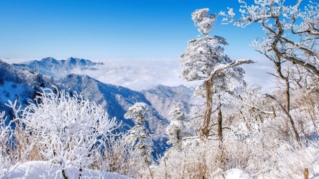 Top 11 trải nghiệm không thể bỏ lỡ khi du lịch Jeju mùa đông