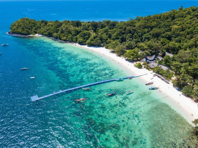 Top 8 địa điểm ngắm san hô đẹp nhất ở Thái Lan