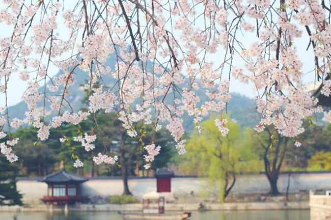 Du lịch Hàn Quốc mùa nào đẹp nhất?