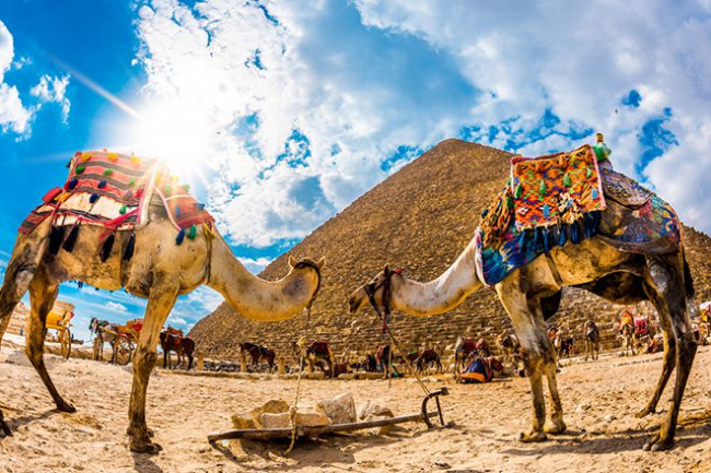 Cách xin visa du lịch Ai Cập