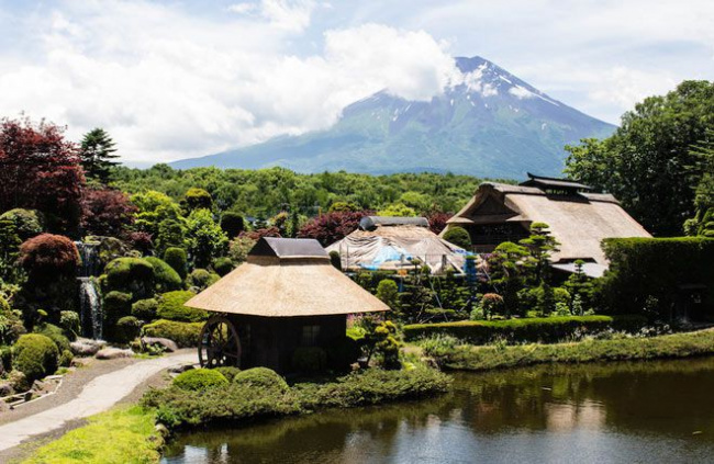 osaka, kyoto, tokyo, nhật bản, châu á, tour du lịch nhật bản tháng 7 với cánh đồng hoa đầy lãng mạn