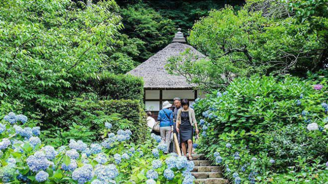 nhật bản, châu á, 6 lý do nhất định phải đi du lịch tokyo mùa hè