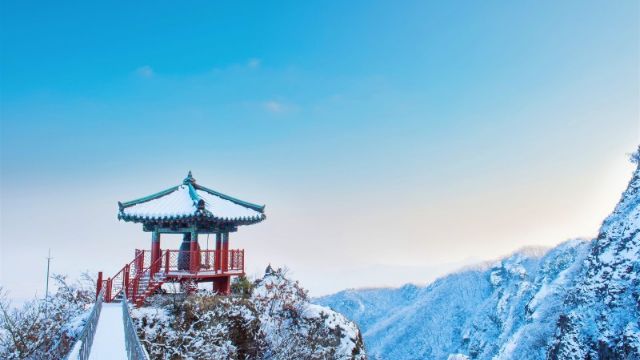 Du lịch Hàn Quốc nên đi tour hay tự túc?