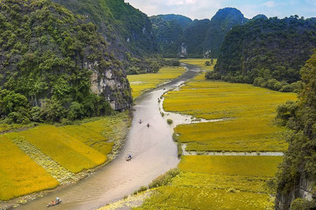 5 địa điểm du lịch mùa lúa chín tuyệt đẹp tại Việt Nam