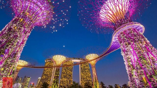 Thăng hoa cảm xúc với tour du lịch Singapore Cao Cấp