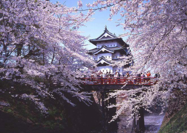Tổng hợp kinh nghiệm du lịch Tokyo tháng 4 cho người đi lần đầu