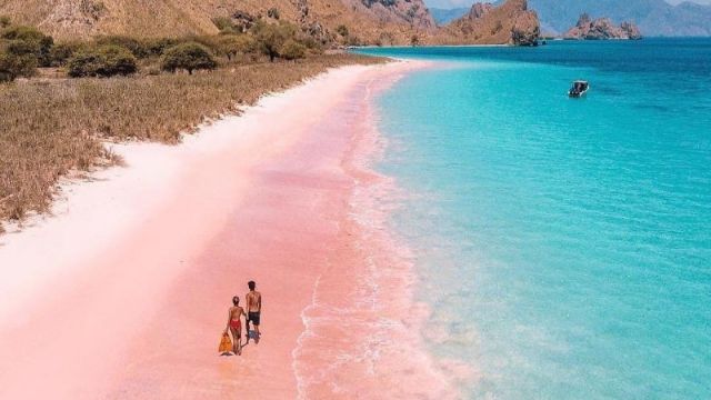 indonesia, châu á, du lịch indonesia tự túc: khám phá vẻ đẹp bãi biển hồng