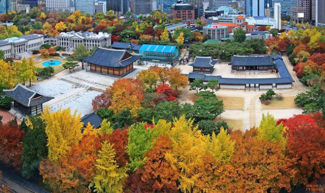 Du lịch mùa thu vàng - những điểm ngắm lá đẹp nhất Seoul