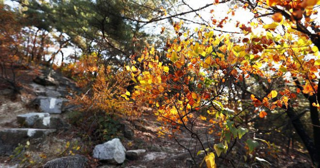 seoul, hàn quốc, châu á, du lịch mùa thu vàng - những điểm ngắm lá đẹp nhất seoul