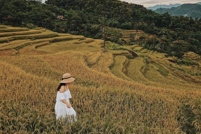 mai châu, việt nam, kinh nghiệm du lịch mai châu từ a đến z