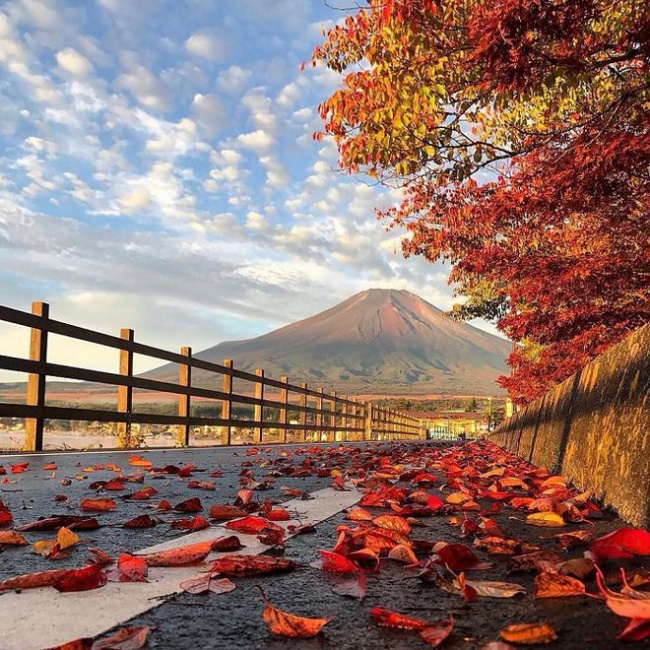 Top 6 tour du lịch Nhật Bản mùa thu lá đỏ giá siêu rẻ [CẬP NHẬT 2020]